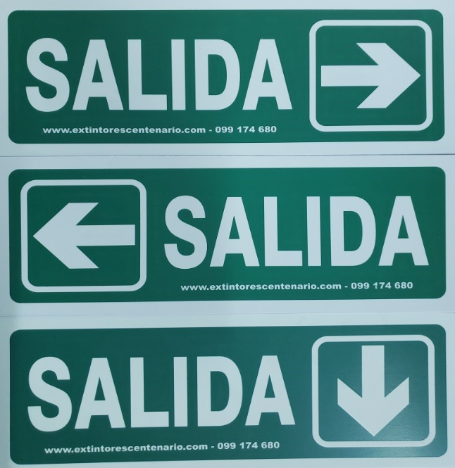 Señal de Salida Direccional